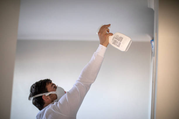 Best Home Mold Removal  in Los Osos, CA