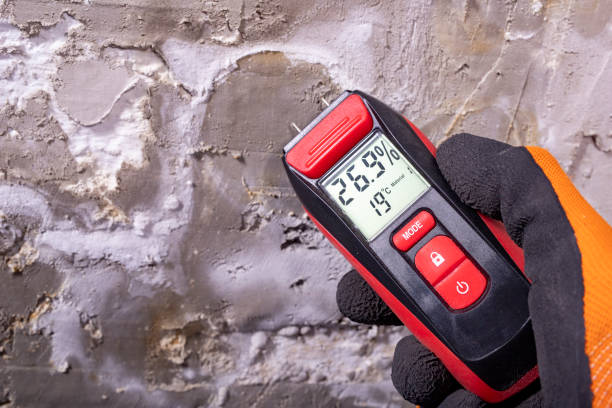 Best Attic Mold Removal  in Los Osos, CA